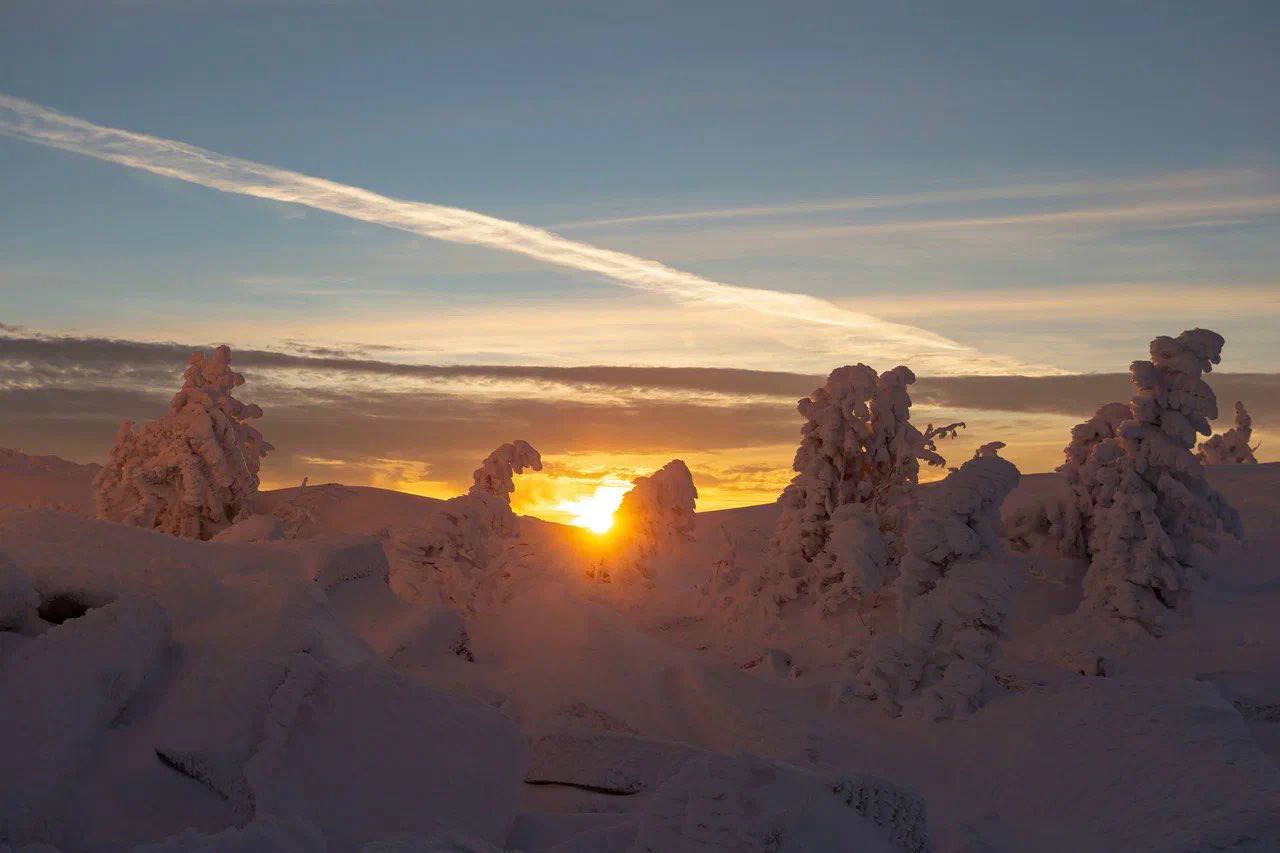 Выходные по-умному: как подключить программу лояльности и получать от 20% кешбэка за отдых в горах Кузбасса