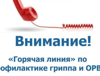 В Кузбассе открыли единую «горячую линию» по вопросам профилактики гриппа и ОРВИ