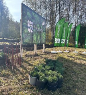 В Кузбассе состоялось мероприятие акции «Сохраним лес»