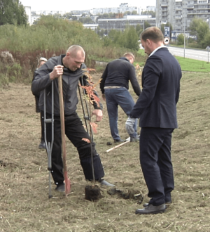 В Новокузнецке стартовала акция «Сохраним лес»