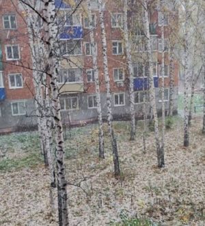 В Анжеро-Судженске выпал первый снег
