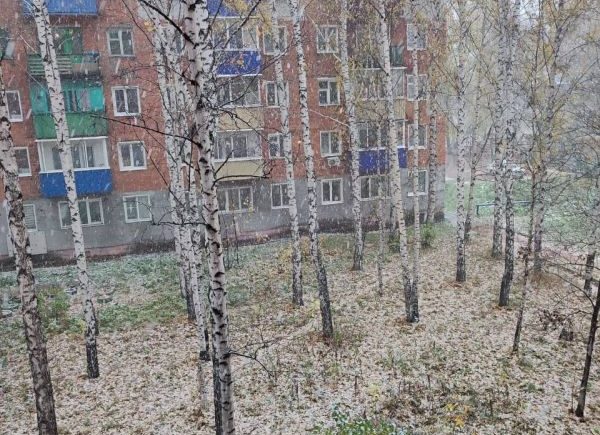 В Анжеро-Судженске выпал первый снег