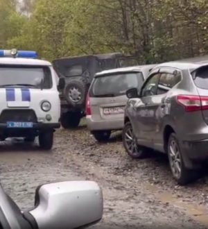 Заблудившуюся в лесу беременную женщину отыскали Прокопьевском округе