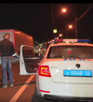 В Кузбассе мигранты-нелегалы попали в объятия «Анаконды»