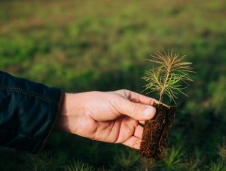 В России стартует эксперимент по маркировке удобрений в системе «Честный знак»