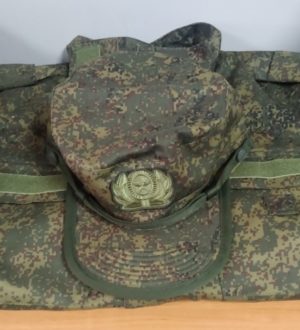 России верные сыны