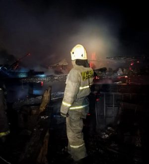 Десятки кур погибли в огне в Ленинск-Кузнецком округе