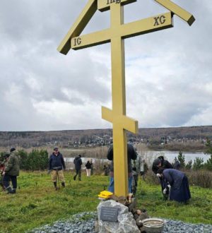 Кедровую рощу высадили в знаковом для Кузбасса месте