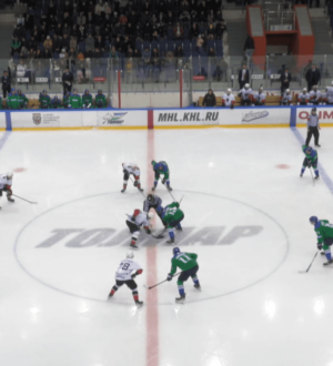 «Кузнецкие Медведи» выиграли в гостях у «Толпара»