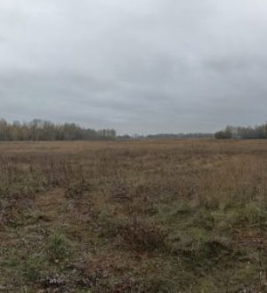 В Новосибирской области чиновника случайно застрелили на охоте