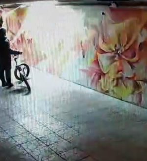 Глава Новокузнецка обратился к горожанам: как поступать с вандалами, которые портят муниципальное имущество