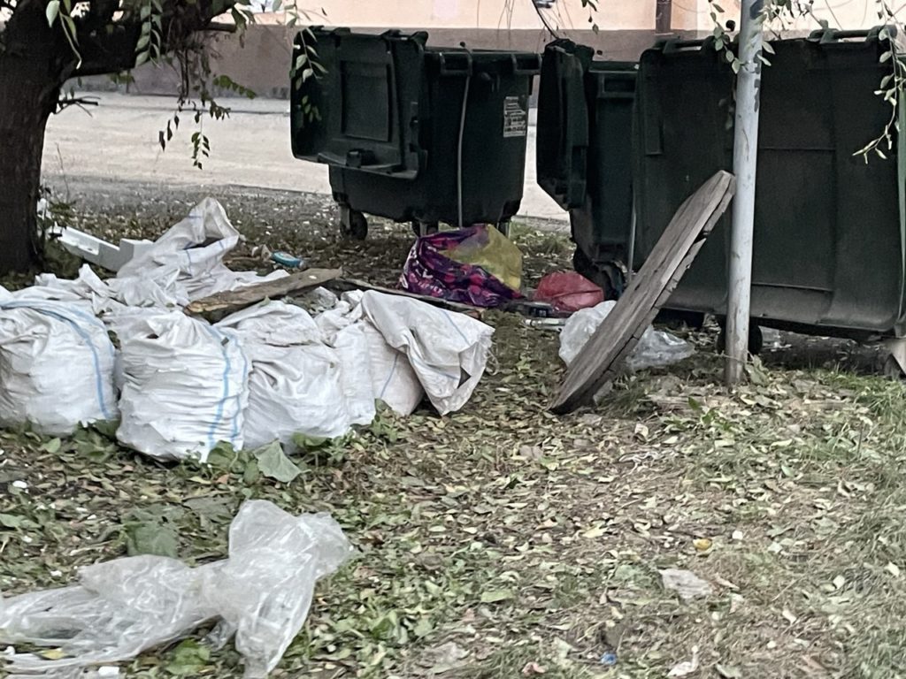 Новокузнечане возмущены: одна из улиц в центре города утопает в мусоре