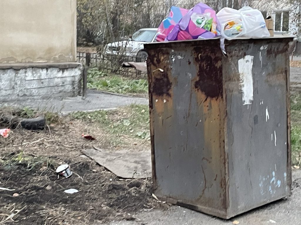 Новокузнечане возмущены: одна из улиц в центре города утопает в мусоре