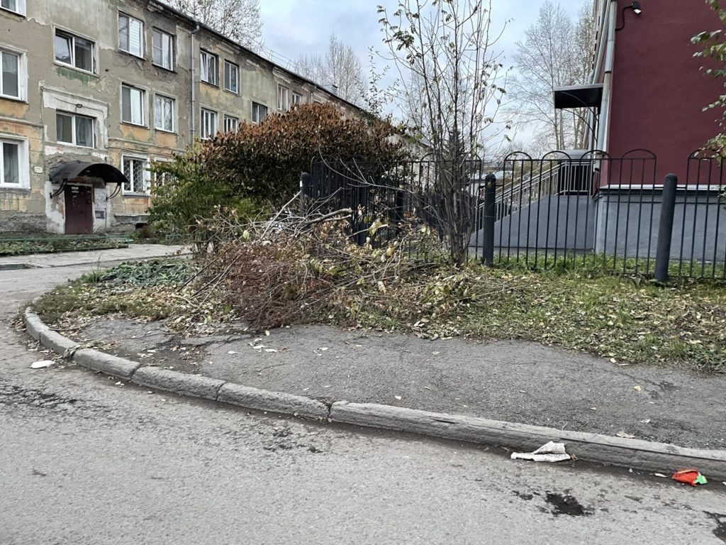 Новокузнечане возмущены: одна из улиц в центре города утопает в мусоре