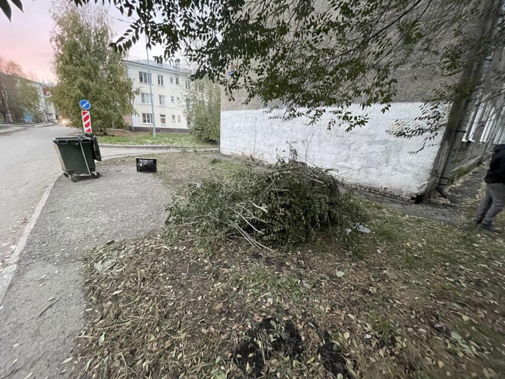 Новокузнечане возмущены: одна из улиц в центре города утопает в мусоре