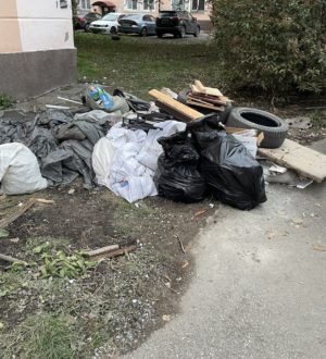 Новокузнечане возмущены: одна из улиц в центре города утопает в мусоре