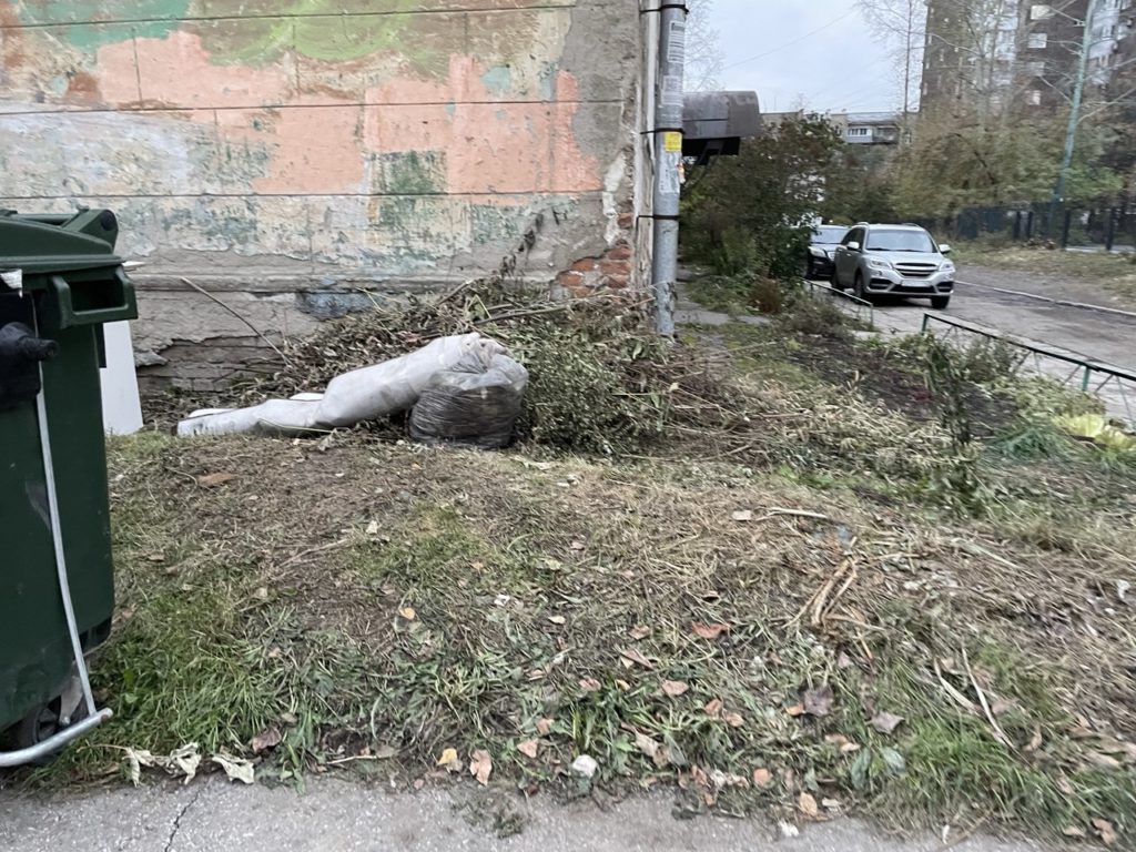 Новокузнечане возмущены: одна из улиц в центре города утопает в мусоре