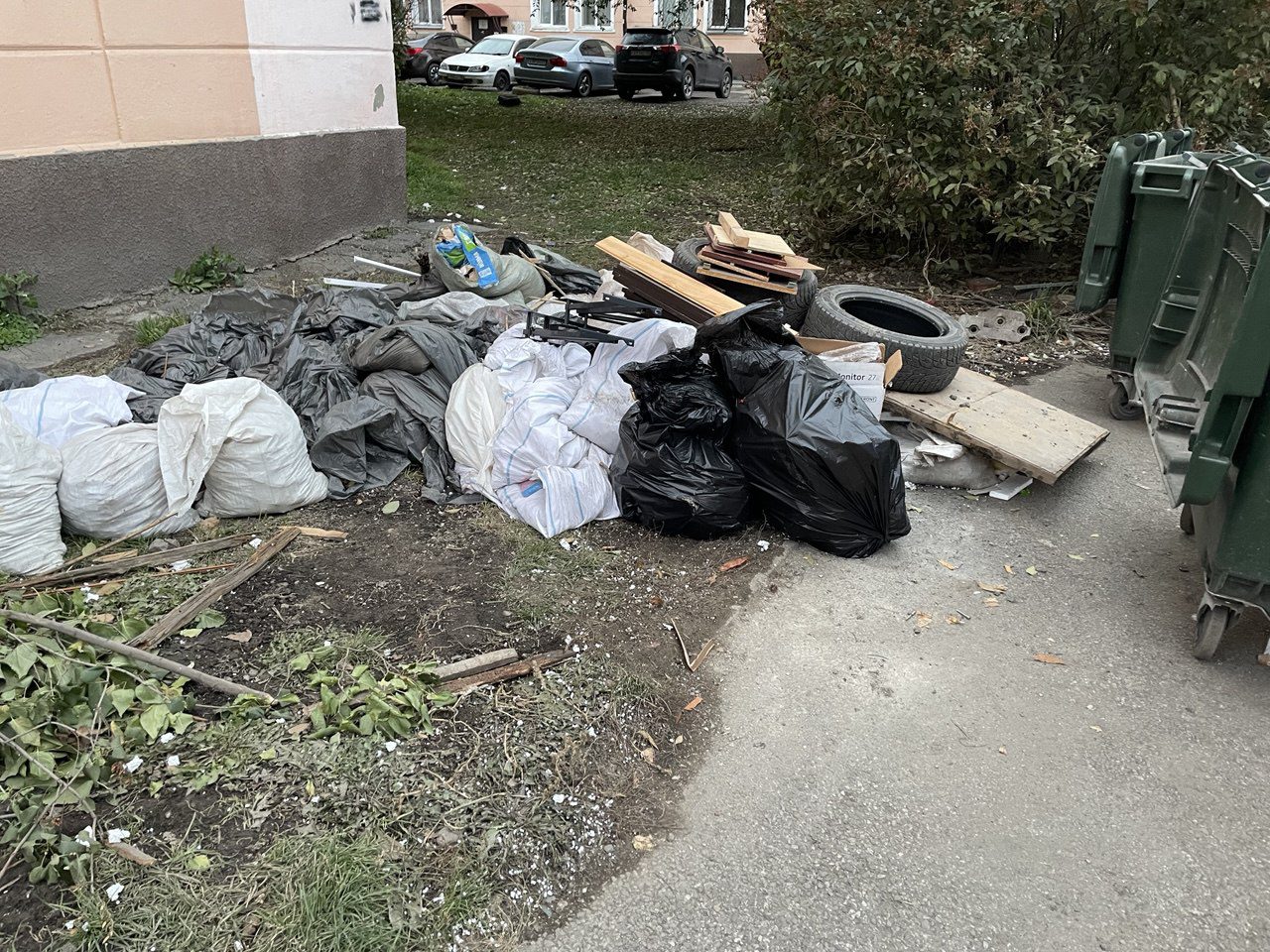 Новокузнечане возмущены: одна из улиц в центре города утопает в мусоре