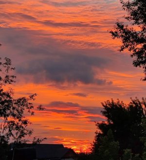 Синоптики обещают потепление в Кузбассе до +12 градусов