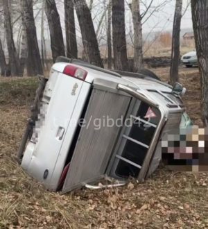 В Ленинск-Кузнецком округе водитель перевернувшегося пикапа погиб на месте