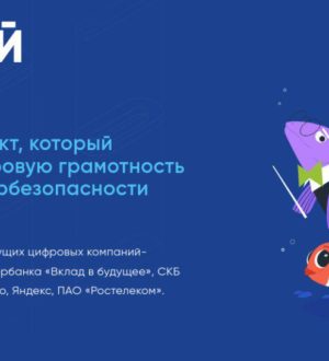 В Кузбассе проходит урок по цифровой грамотности и кибербезопасности  