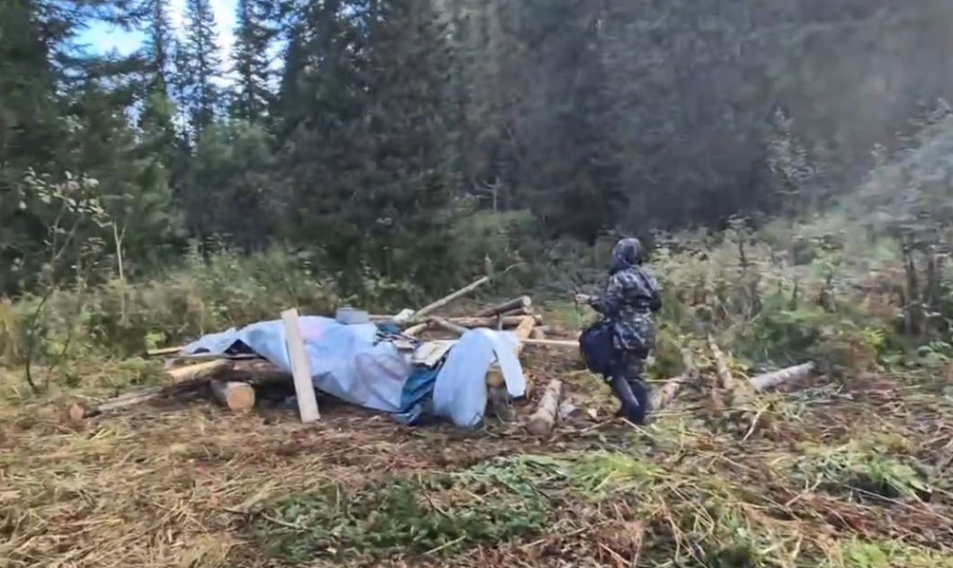 В Кузбассе на территории природного заказника незаконно вырубили восемь пихт