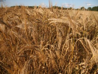 Утром на юге Кузбасса зафиксировали землетрясение