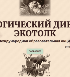 Кузбассовцы со 2 по 24 октября смогут принять участие в международном экологическом диктанте «ЭкоТолк»