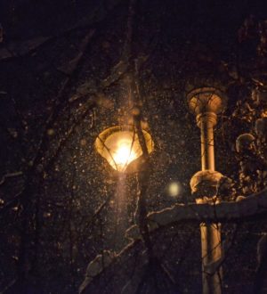 До +16 и снег: синоптики рассказали о погоде в Кузбассе