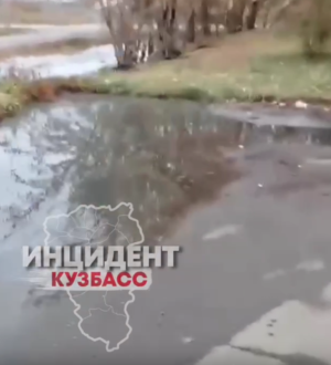 В Кузбассе следователи заинтересовались затопленным зловонными стоками двором