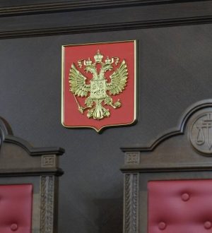 Жительница Кузбасса получила условный срок за избиение инспектора ДПС