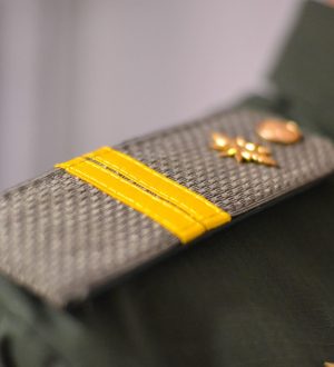 Сыновья Великой страны