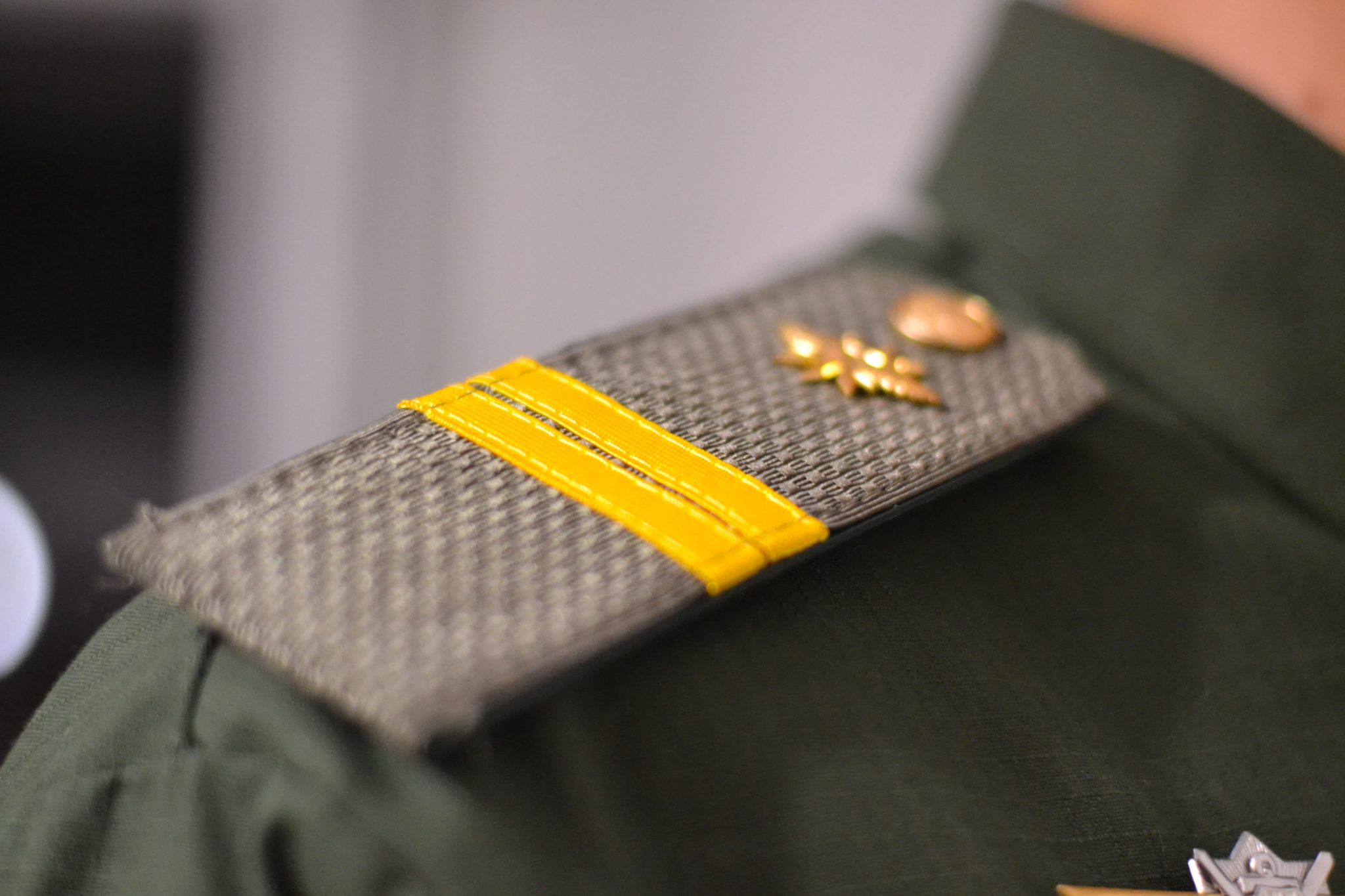 Сыновья Великой страны