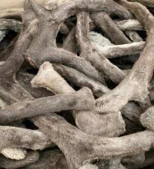 Азиатский «экономический тигр» скупает в Кузбассе экзотическую продукцию