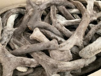 Азиатский «экономический тигр» скупает в Кузбассе экзотическую продукцию