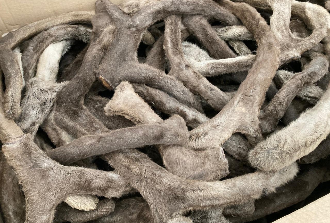 Азиатский «экономический тигр» скупает в Кузбассе экзотическую продукцию