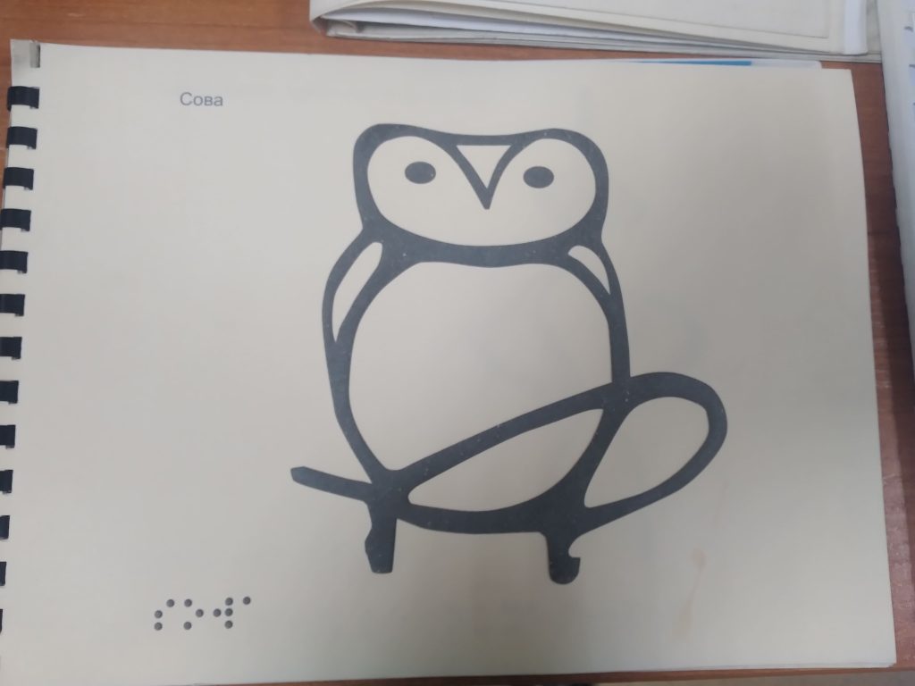 Книги с меховой «опушкой»: уникальные издания для незрячих выпускают в Кемерове