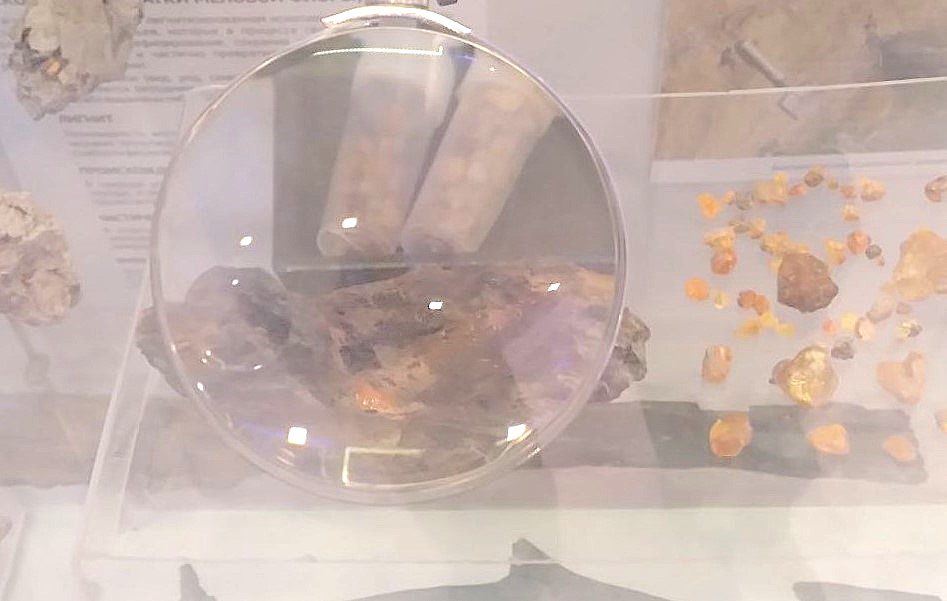 Новые динозавры и самый древний янтарь: что ученые нашли в Шестаково этим летом