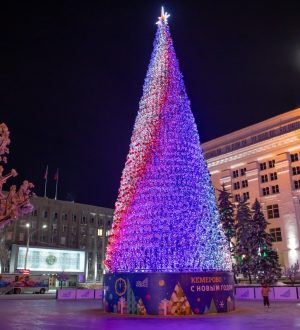 Главную елку Кузбасса начали устанавливать в Кемерове