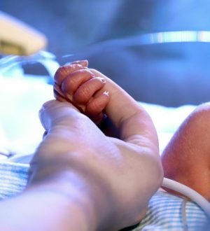 В Кузбассе появятся бесплатные пункты проката детских колясок и кроваток