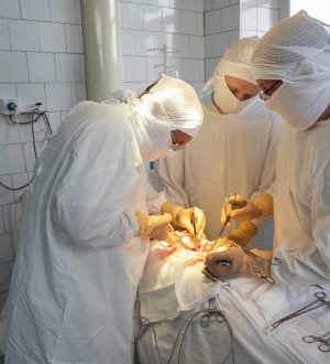 В Новокузнецке провели третью операцию по пересадке печени