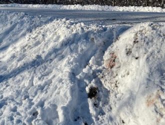 Власти опровергли слухи об отравлении косуль в Кузбассе дорожными реагентами