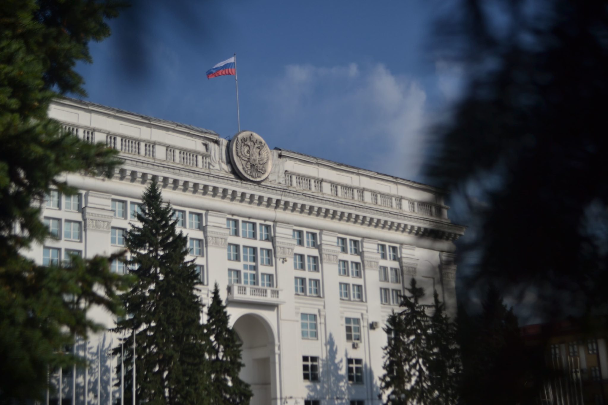 В Кузбассе создали две комиссии: по искуственному интеллекту и охране природы