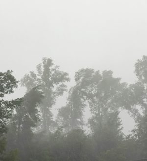 В Кузбассе восстановили электроснабжение после ночного урагана