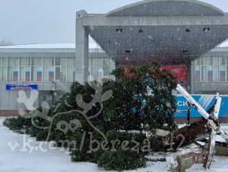 В Березовском рухнула городская новогодняя елка