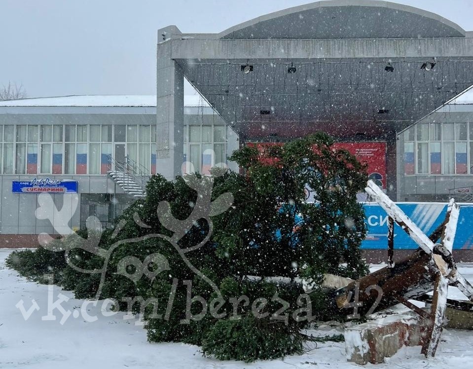 В Березовском рухнула городская новогодняя елка