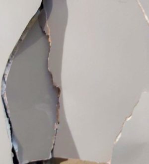 Не буди лихо: уснувший в караоке-баре кузбассовец устроил дебош