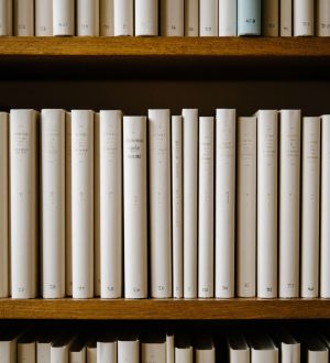 Каждый третий россиянин признался, что не любит читать — но книги все еще с нами