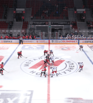 «Кузнецкие Медведи» переиграли гостей из Новомосковска