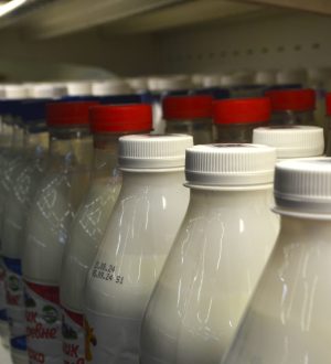 В Кузбассе планируют построить крупный завод по глубокой переработке молока